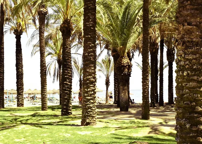 Apartamento Luminoso De 3 A Pie De Playa En