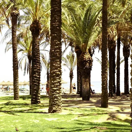 Apartamento Luminoso De 3 A Pie De Playa En