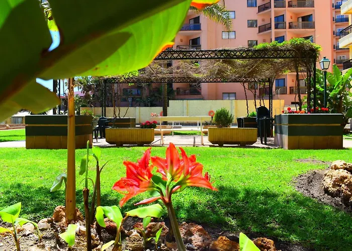 Luminoso De 3 A Pie De Playa En Lägenhet *