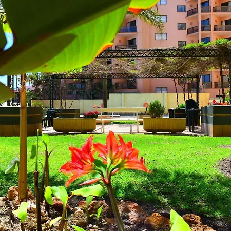 Luminoso De 3 A Pie De Playa En Apartment *